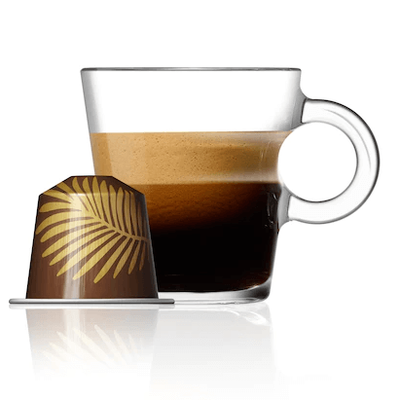 Nespresso Forest Almond Flavour (10 капсул) 10058 фото